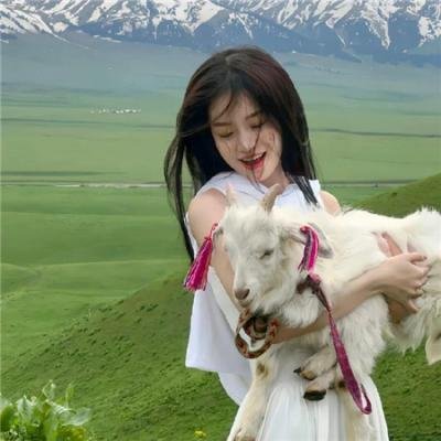 边城浪子