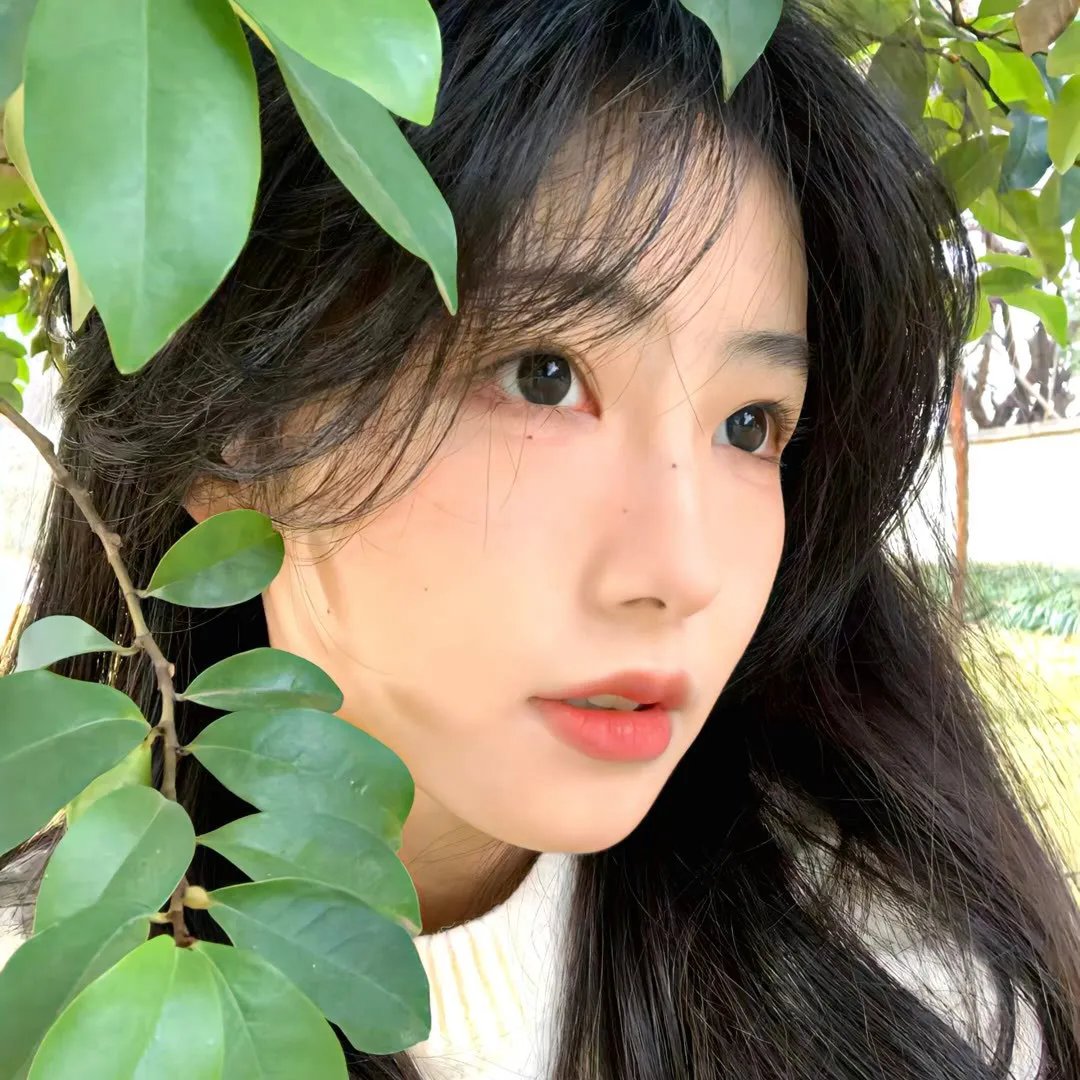 真爱历险